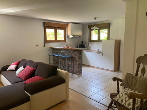 Living room, kitchen