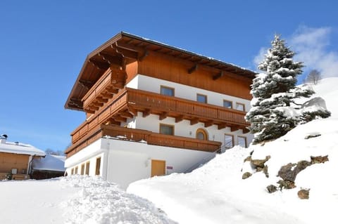 Mitterstererhof Apartment in Salzburgerland