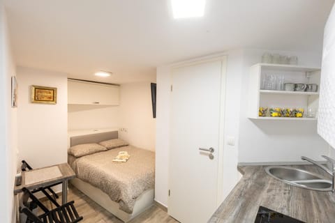 Bed, Kitchen or kitchenette, Photo of the whole room, Dining area, Lunch, Lunch, kitchen