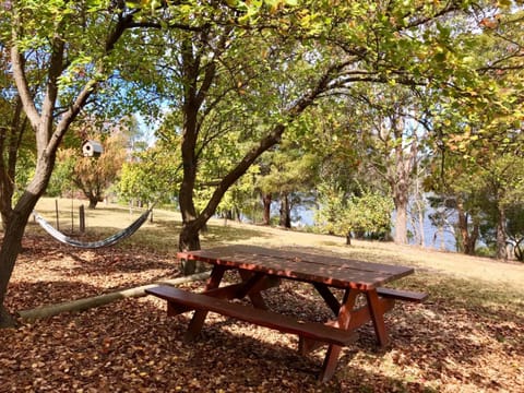 Day, Natural landscape, Garden, Garden view