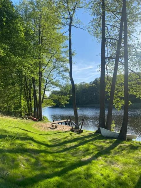 Lake view