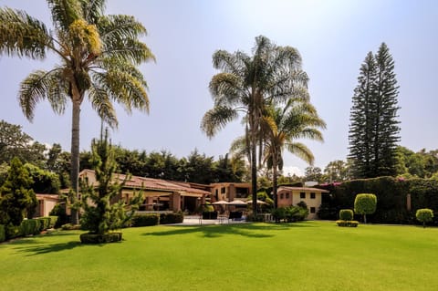 Property building, Garden