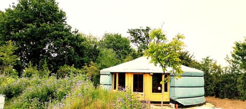 Natural landscape, Garden, Garden view