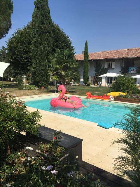 Garden, Swimming pool