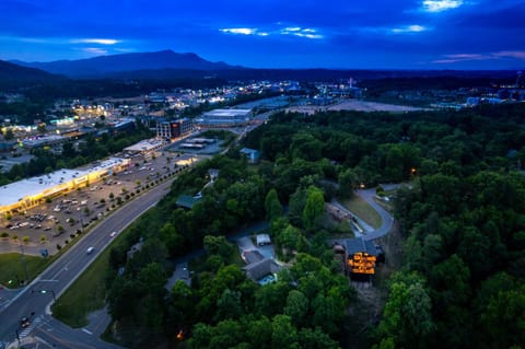 Nearby landmark, Spring, Night, Neighbourhood, Natural landscape, Bird's eye view, View (from property/room), Decorative detail, Decorative detail, City view, Mountain view, Location