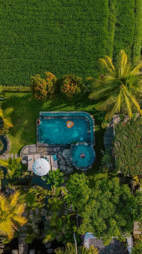 Restaurant/places to eat, Garden view, Swimming pool, Breakfast