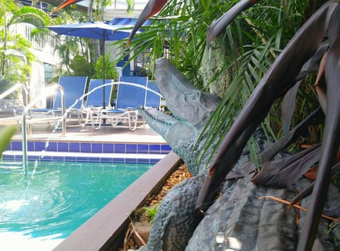 Swimming pool, Swimming pool