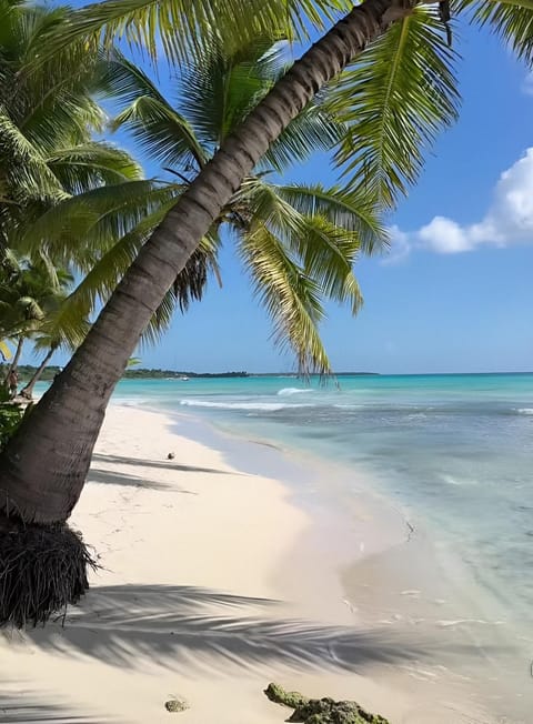 Nearby landmark, Day, Natural landscape, Beach
