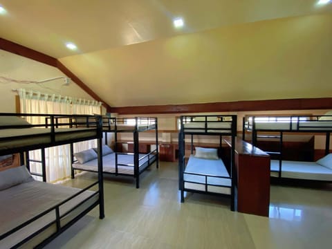 Bed, Photo of the whole room, Bedroom, bunk bed