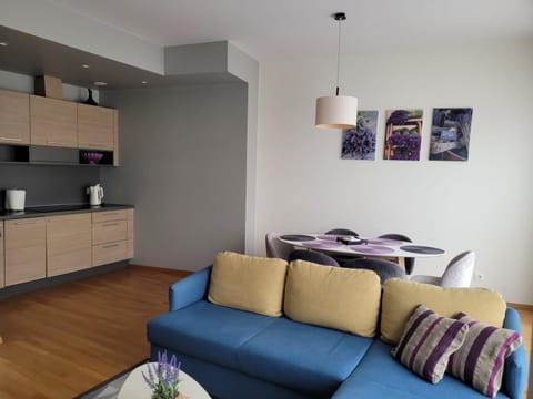 Saulės Sonata Etude Apartment in Lithuania