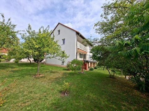 Property building, Garden view