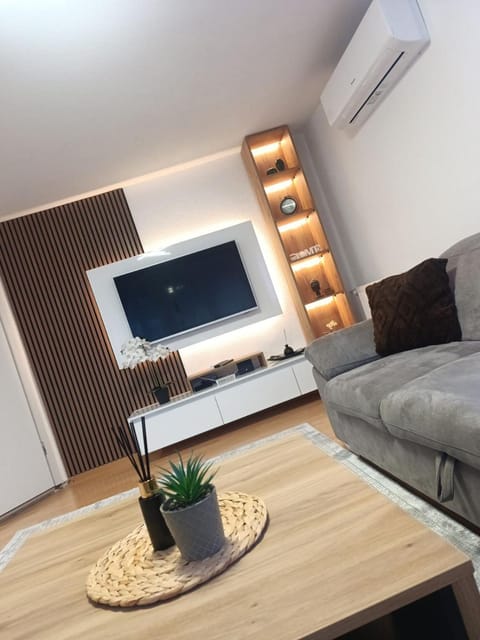 TV and multimedia, Living room, Seating area, air conditioner