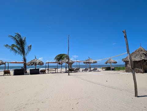 Restaurant/places to eat, Day, Natural landscape, Lobby or reception, Beach, Sea view