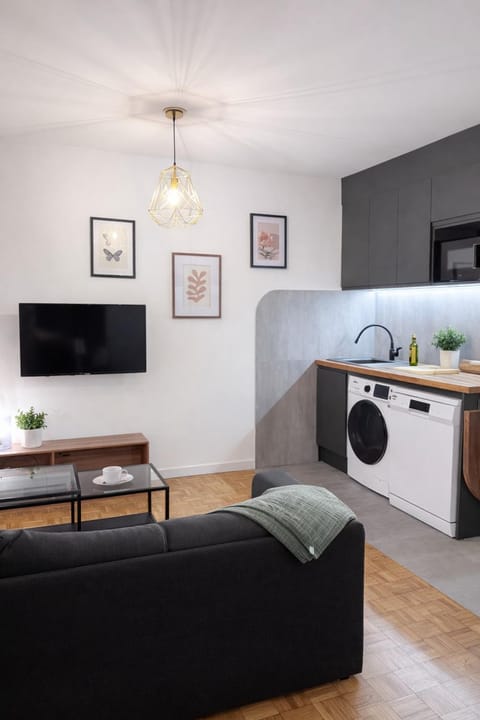 Living room, kitchen