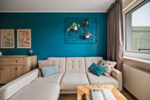 Living room, Photo of the whole room, Seating area