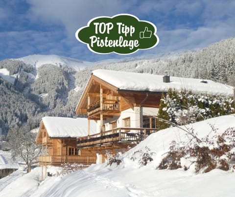 Almliesl ZELL-365 Apartment in Zell am See