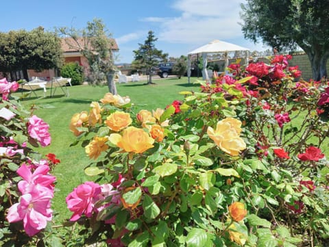 Elegance B&B Bed and Breakfast in Lazio