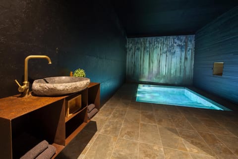 Hot Tub, Swimming pool
