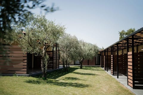 Natural landscape, Garden view