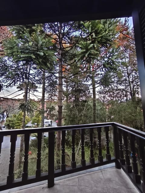 Natural landscape, View (from property/room), Balcony/Terrace, Garden view