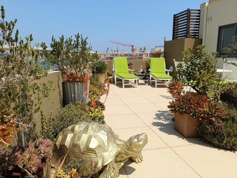 Patio, Balcony/Terrace, Sea view, sunbed