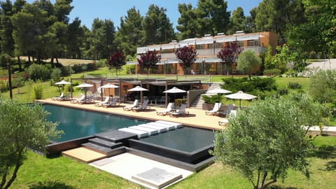 Property building, Natural landscape, Garden, Swimming pool, sunbed