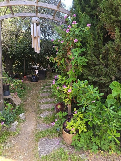 Garden, Garden view