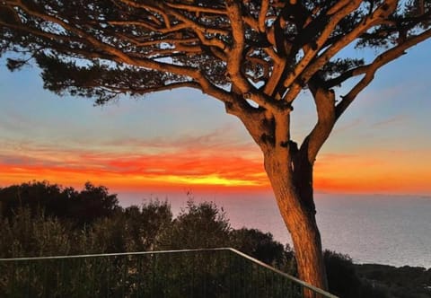 View (from property/room), Sunset