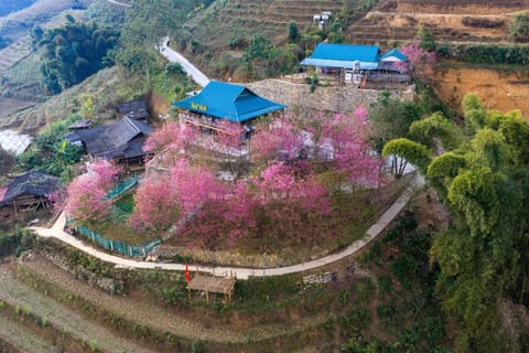 Spring, Day, Neighbourhood, Natural landscape, Bird's eye view
