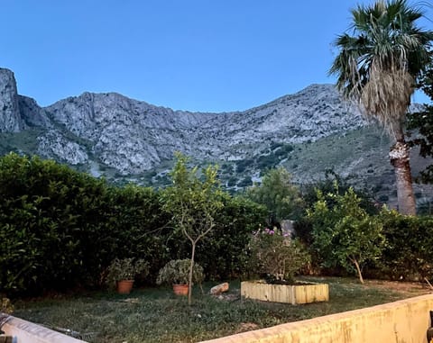 Garden view