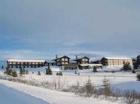 Property building, Natural landscape, Winter