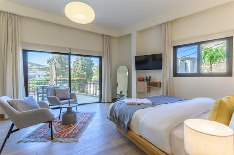 Bed, TV and multimedia, Balcony/Terrace, Photo of the whole room, Seating area, towels, air conditioner