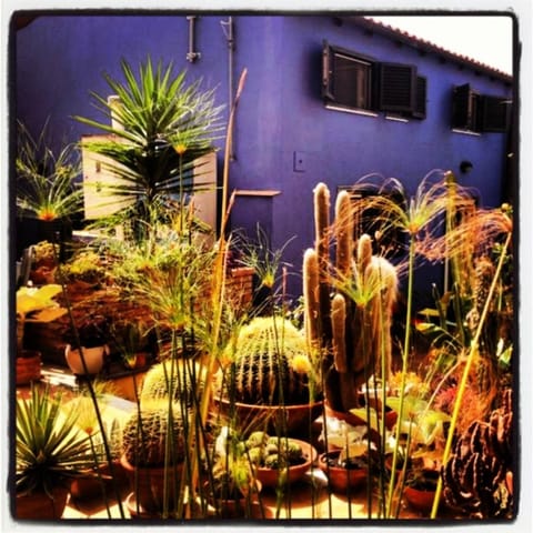 Inner courtyard view
