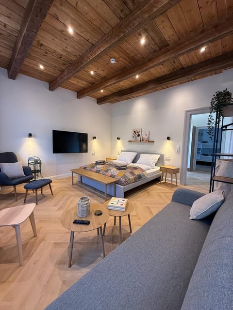 Communal lounge/ TV room, Bed, TV and multimedia, Living room, Photo of the whole room, Seating area, Bedroom