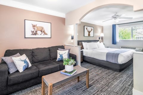 Bed, Living room, Photo of the whole room, Seating area, Bedroom