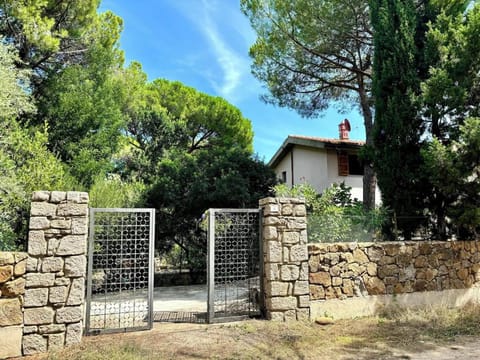 Property building, Landmark view