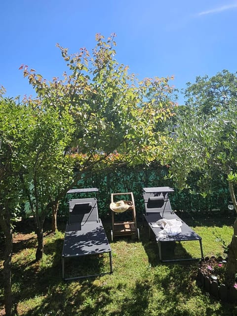 Garden, Garden view, sunbed