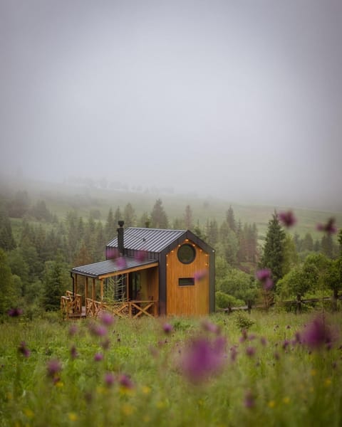 Property building, Day, Natural landscape