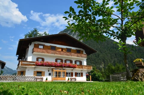 Property building, Summer