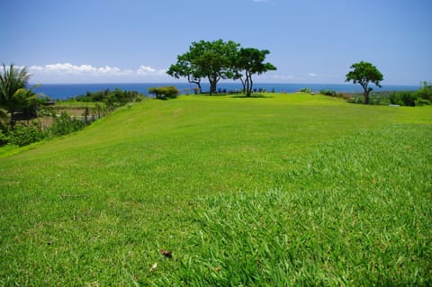 Natural landscape