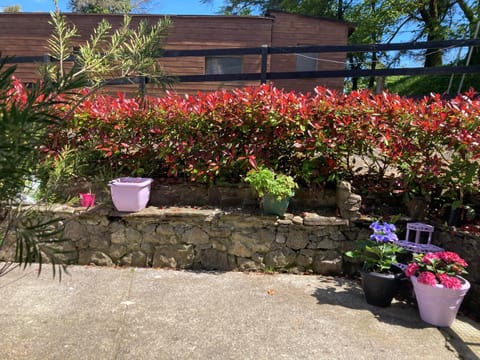 Spring, Day, Garden, Garden view