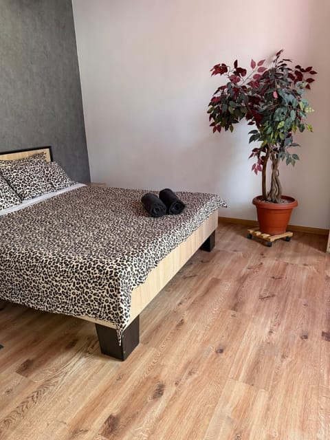 Property building, Photo of the whole room, Bedroom