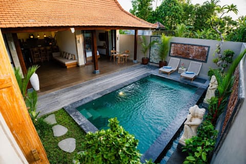 Property building, Patio, Day, Natural landscape, Garden, Garden view, Pool view, Swimming pool, sunbed