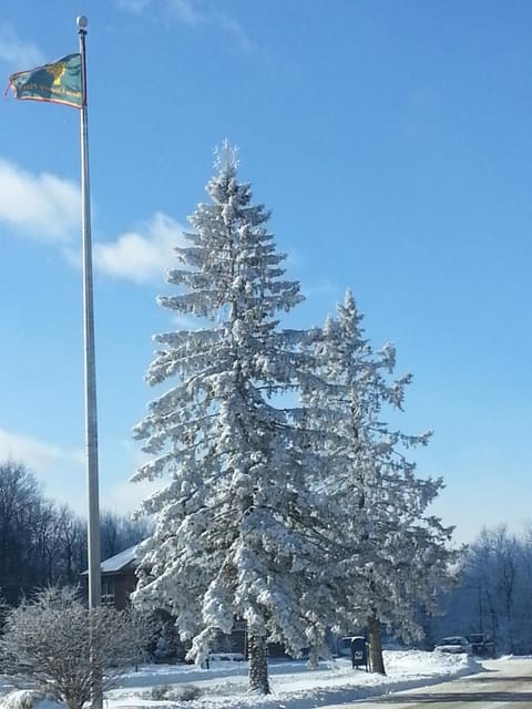 Chalet renovated Near Casino, Camelback , Kalahari 4bdrms firepit hot tub game room House in Coolbaugh Township