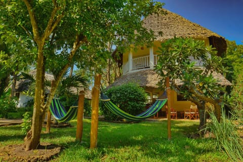 Garden, Garden view, Garden view