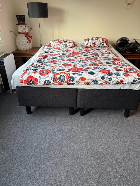 Bed, Photo of the whole room, Bedroom, Family