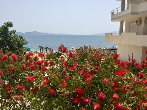Neighbourhood, Natural landscape, Beach