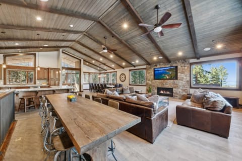 TV and multimedia, Kitchen or kitchenette, Living room, Dining area, fireplace, furniture