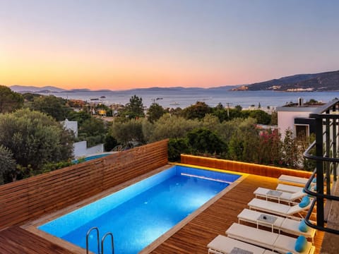 Swimming pool, Swimming pool, sunbed