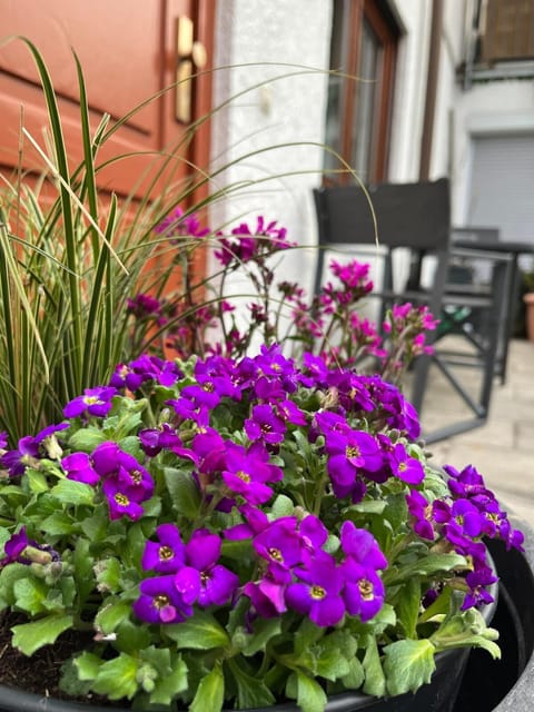 Garden, Garden view